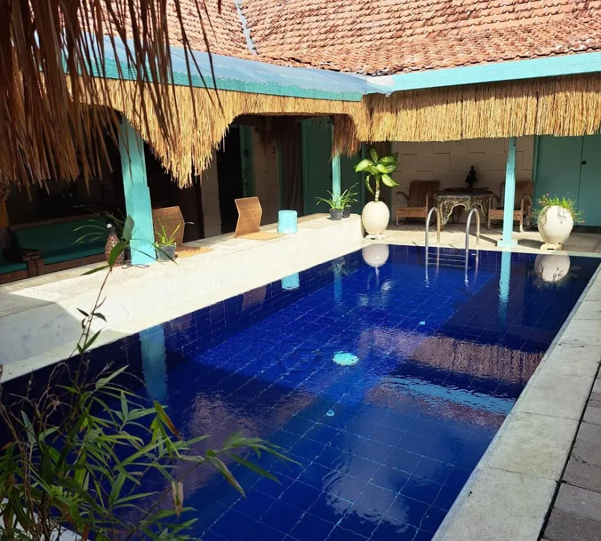 Séjour chez l'habitant Appartement Lavender Star House à Kuta Lombok Indonésie